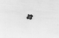 1900_1930\1930.0281zwc.jpg; 1930.0280; ;